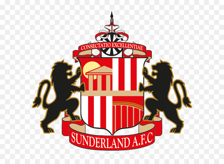 El Estadio De La Luz，Sunderland Afc PNG