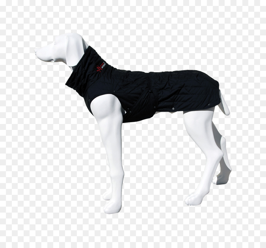 Raza De Perro，Ropa De Perro PNG