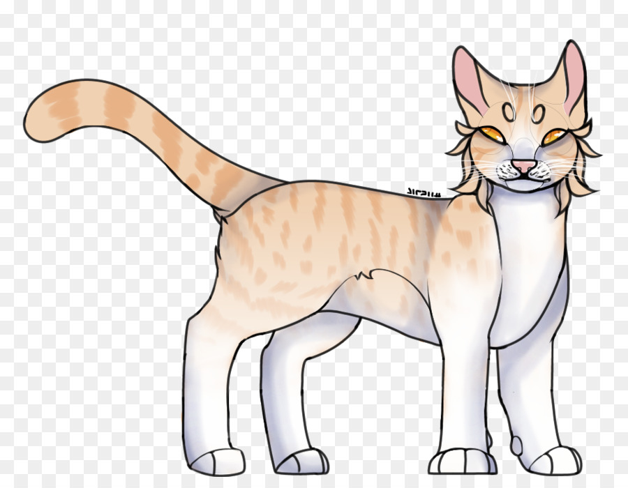 Bigotes，Gatito PNG