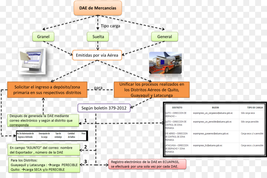 Organización，Línea PNG