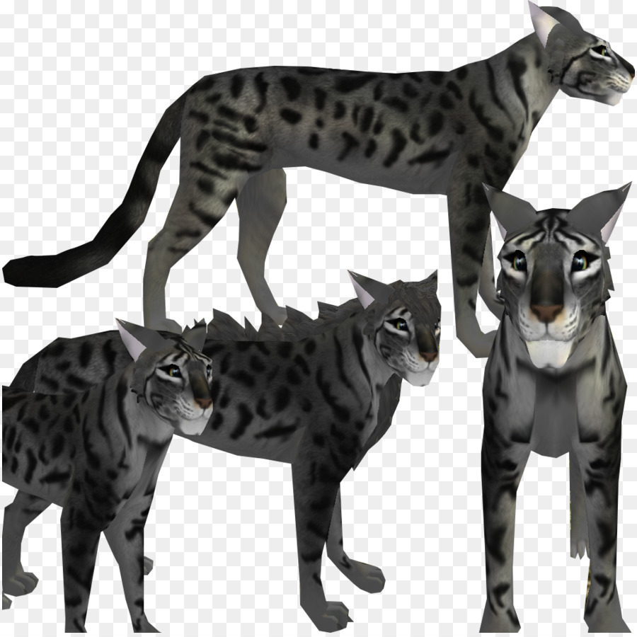 Gato De Bengala，Los Gatos Callejeros PNG