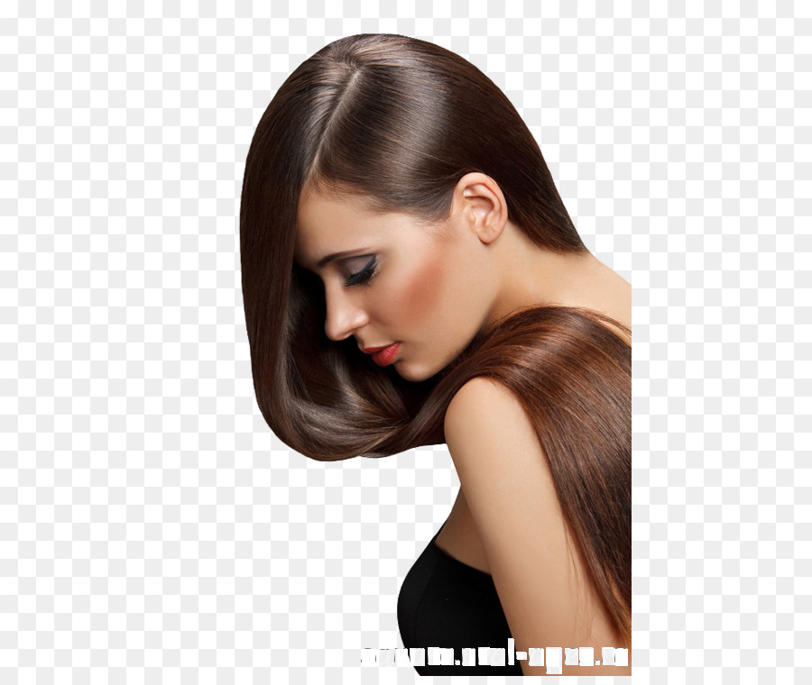 Mujer Con Pelo Largo，Cabello PNG