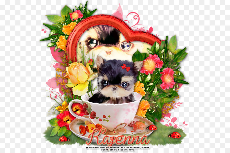 Raza De Perro，Shih Tzu PNG