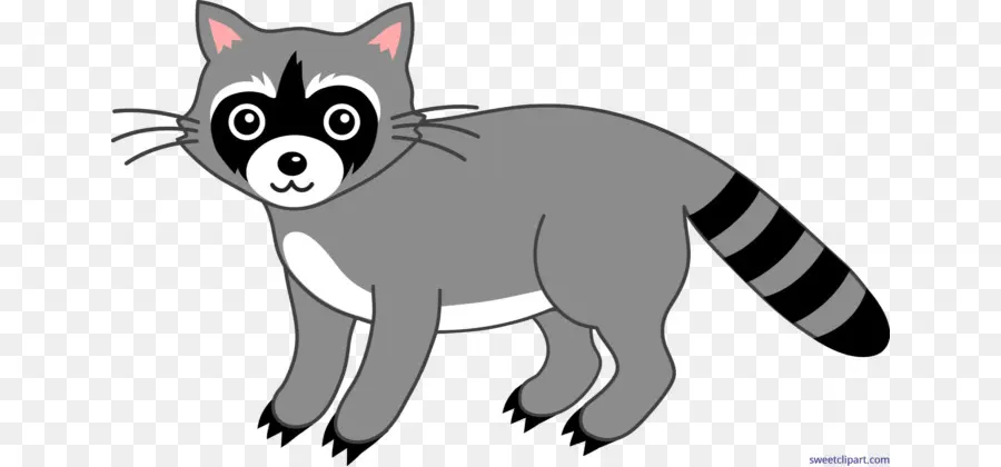 Mapache De Dibujos Animados，Gris PNG