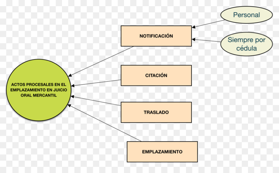 Ley Procesal，Ensayo PNG