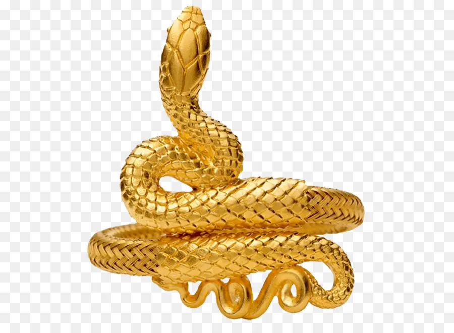 Anillo De Serpiente，Dorado PNG