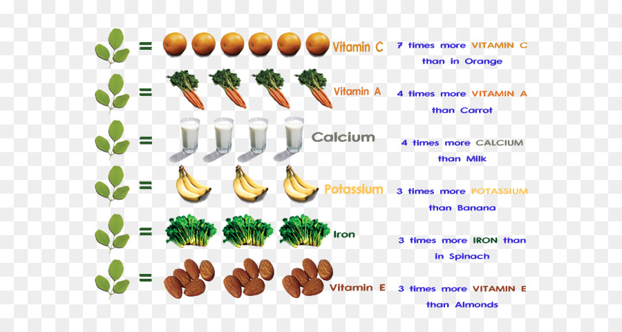 Nutrientes，El árbol De Moringa PNG