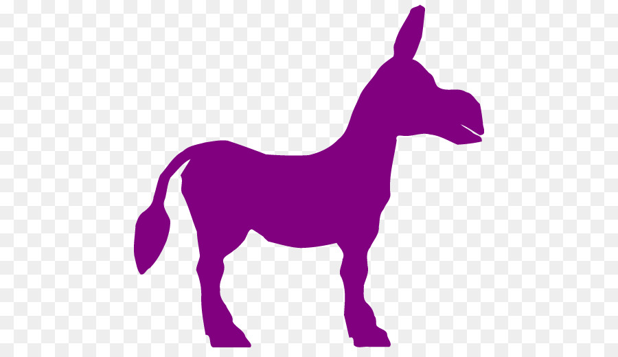 Burro，Mula PNG