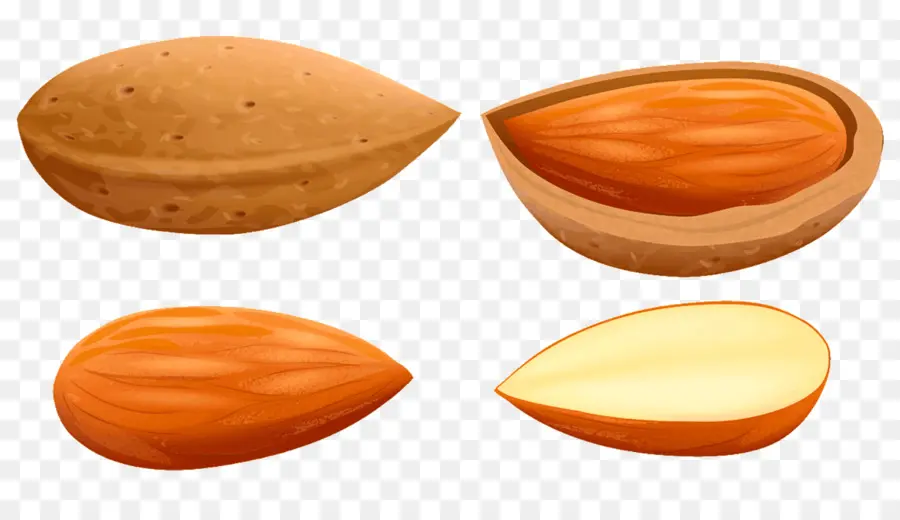 Almendras，Cojones PNG