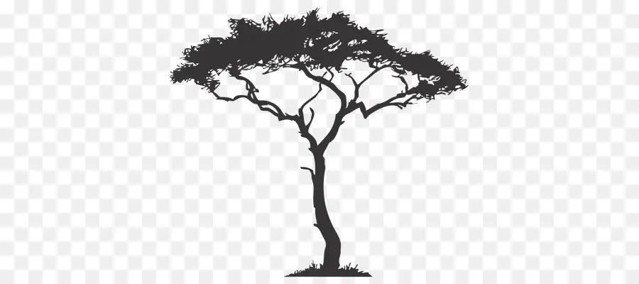 áfrica，Árbol PNG