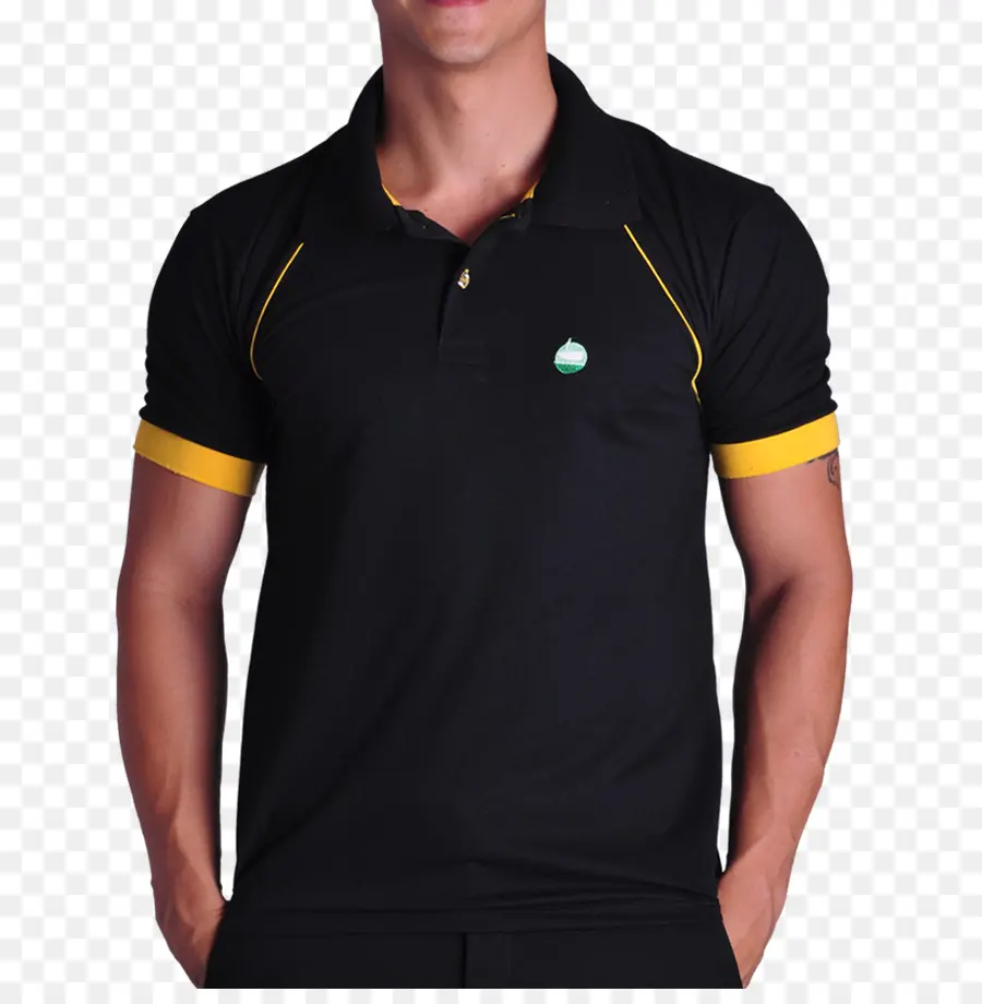 La Camisa De Polo，Camiseta PNG