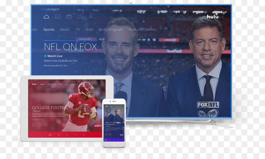 Streaming De Medios De Comunicación，Hulu PNG