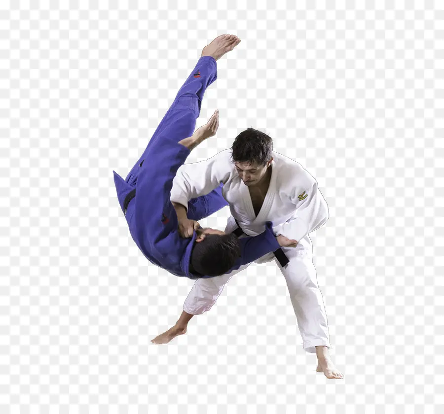 Jiujitsu Brasileño，Judo PNG