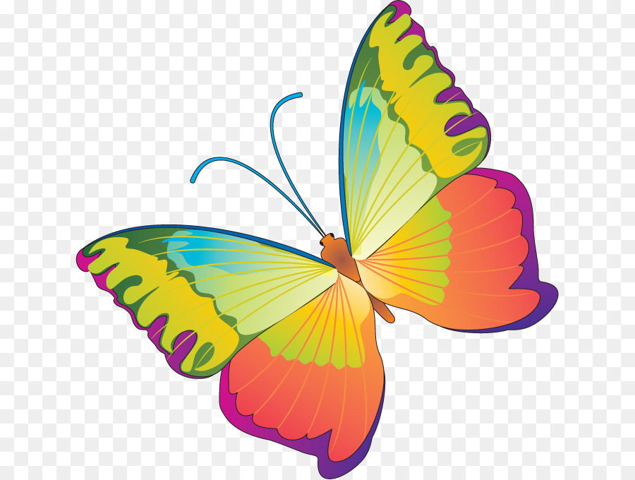 Mariposa，Vistoso PNG