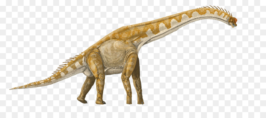 Brachiosaurus，Lusotitan PNG