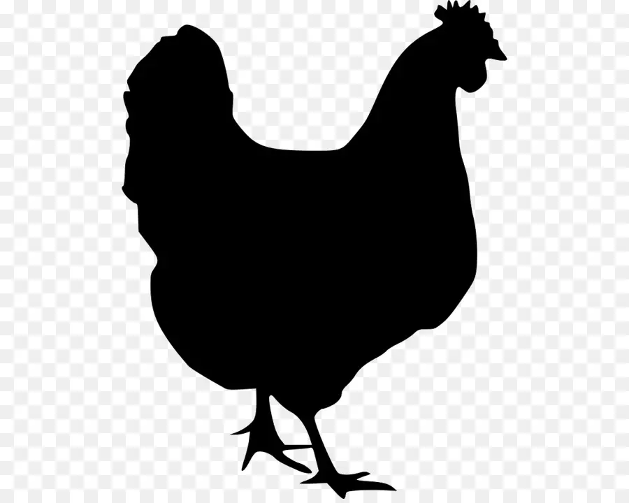 Houdan De Pollo，Polaco De Pollo PNG