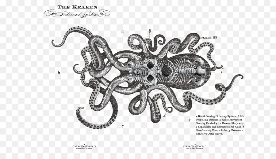 Kraken Rum，Ron PNG