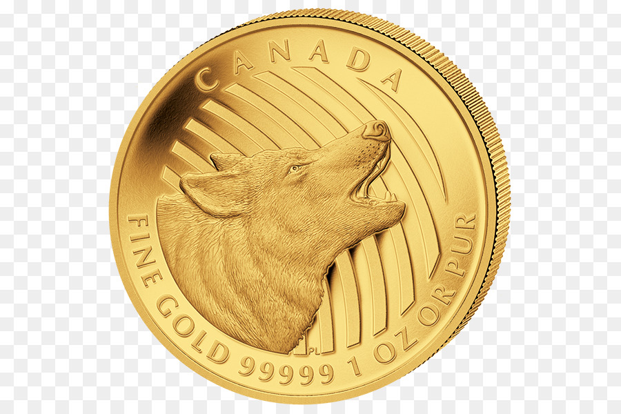 Moneda，Oro PNG