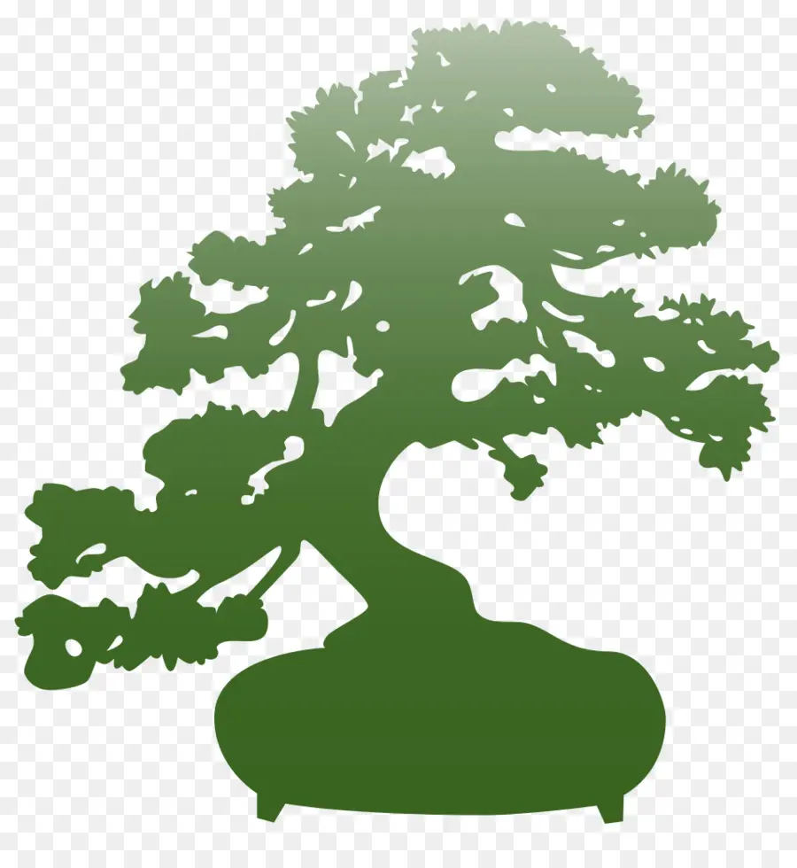 Árbol Bonsái，Árbol PNG