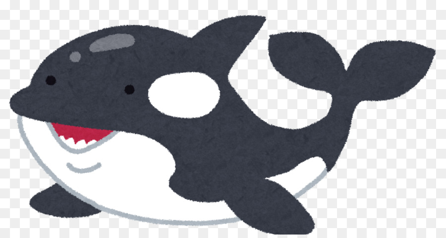 La Ballena Asesina，El Mapache Y Zorro PNG