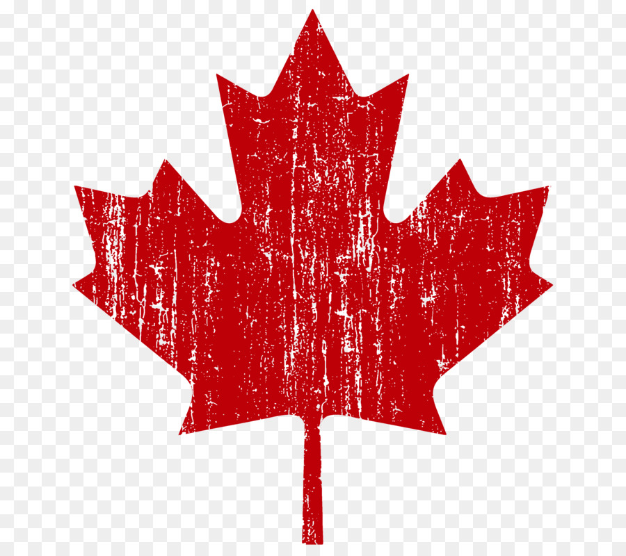 Bandera De Canadá，Estados Unidos PNG