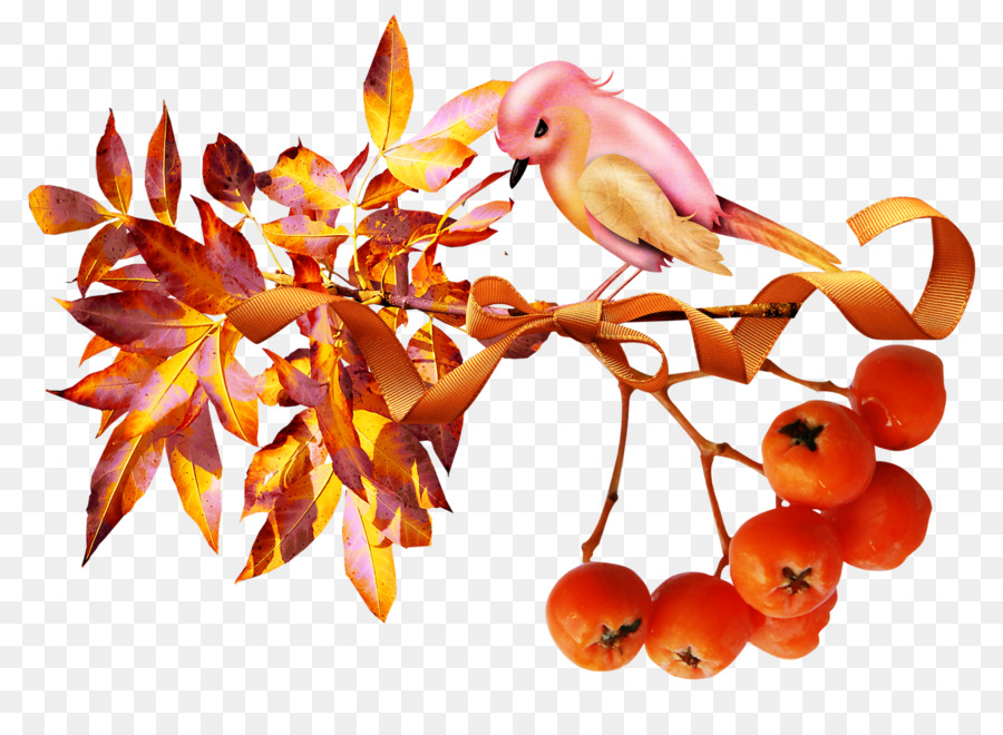 Otoño，Auglis PNG