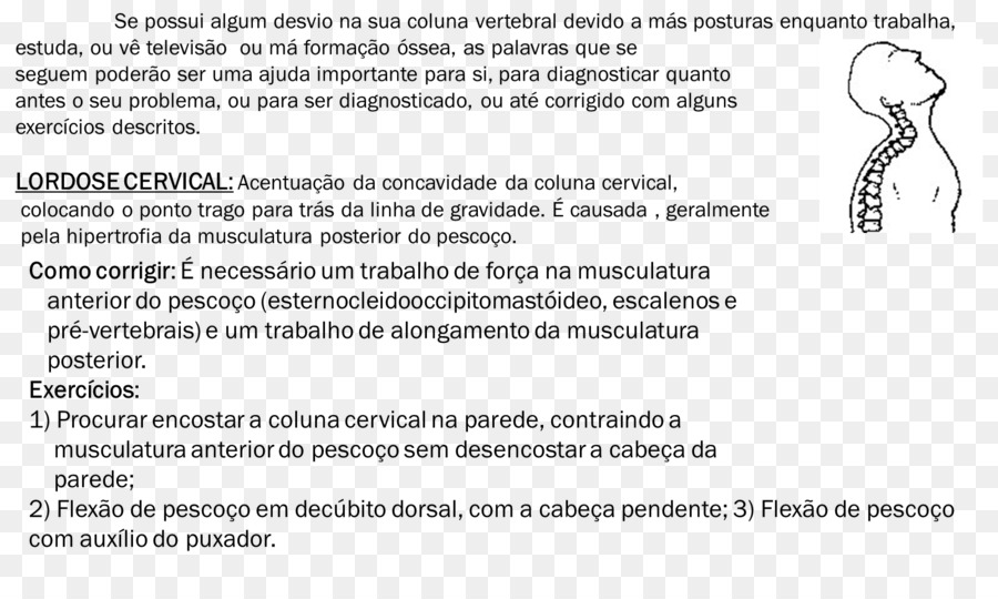 Documento，Línea PNG