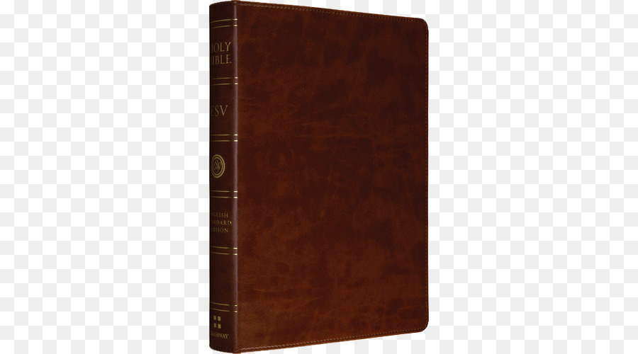 Nvi Biblia De Estudio，La Biblia PNG