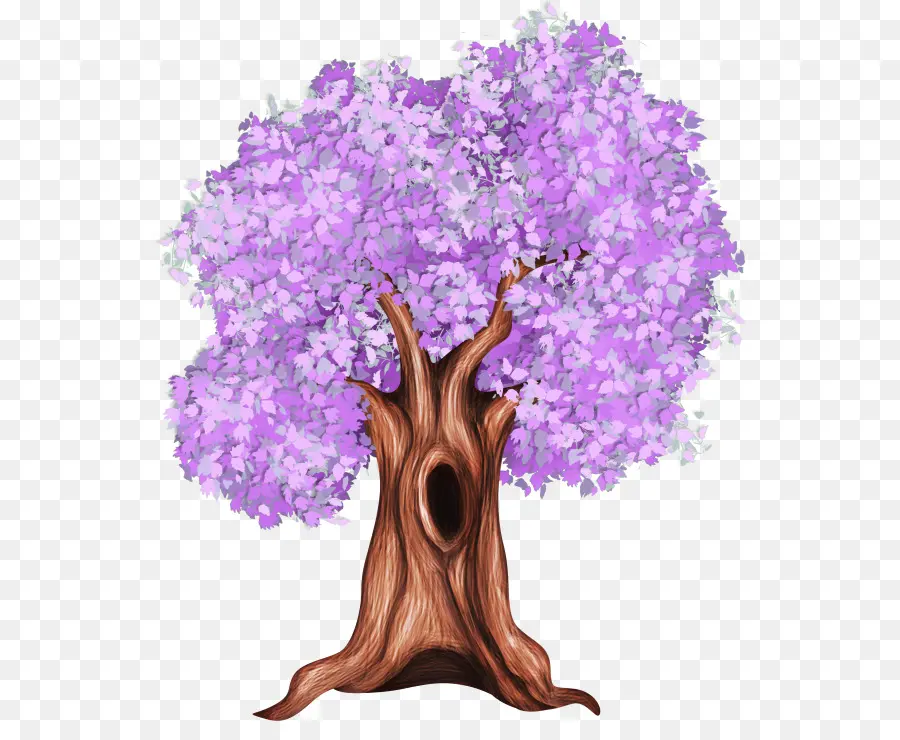 Árbol，Dibujo PNG