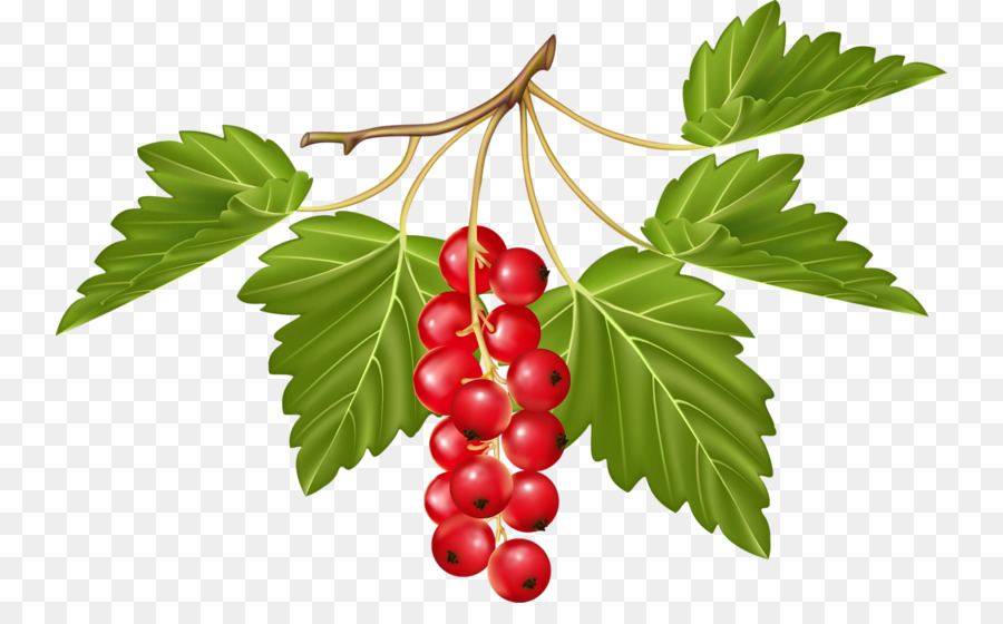 La Fruta，Berry PNG