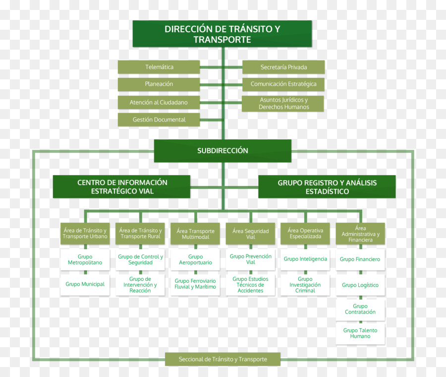 Organigrama，Organización PNG