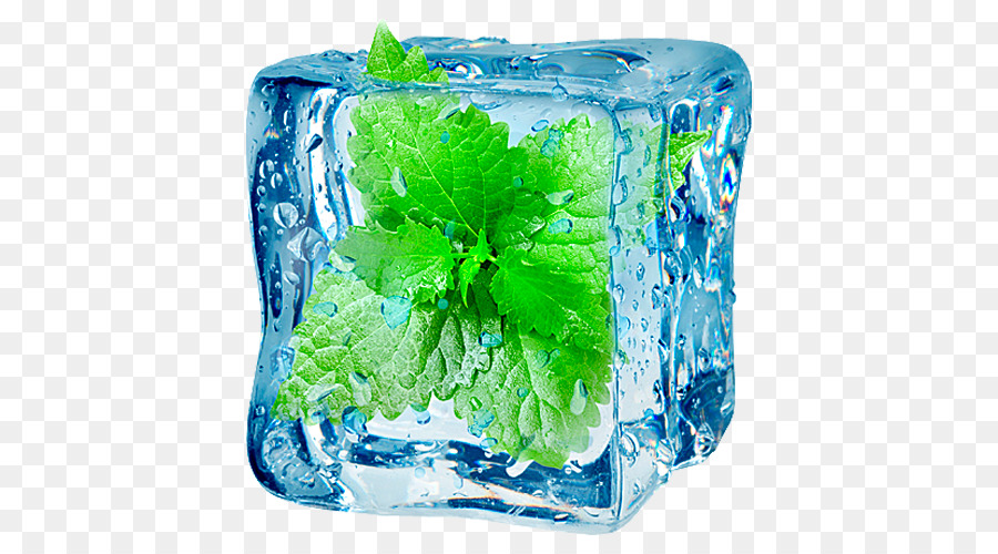 Menthe Glaciale，Menta PNG