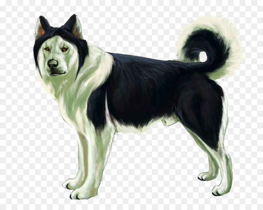 Raza De Perro，Husky Siberiano PNG