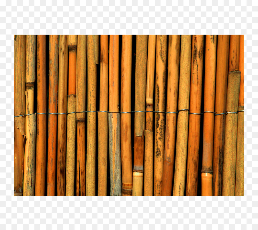 Tropical Bambúes Leñosos，Papel PNG