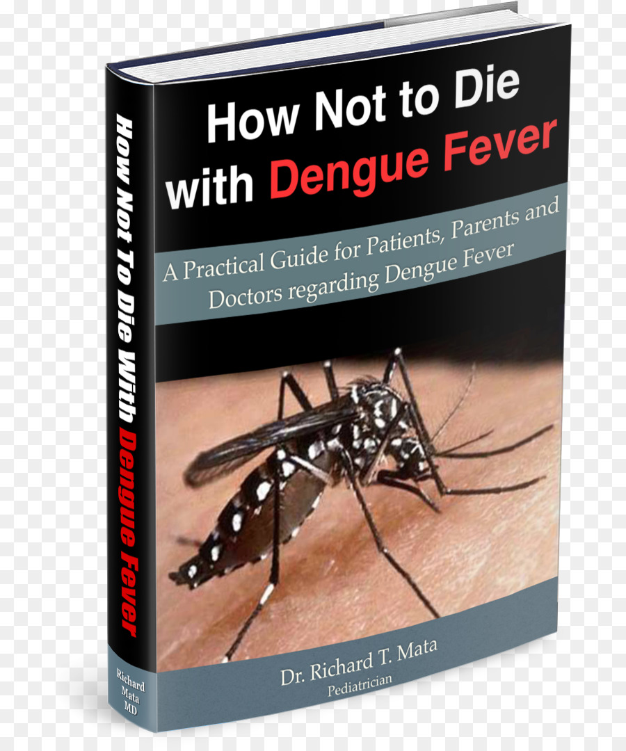 Aedes Albopictus，Mosquito De La Fiebre Amarilla PNG