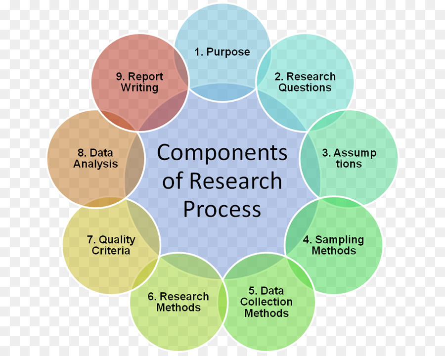 Diagrama Del Proceso De Investigación，Componentes PNG