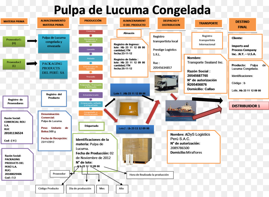 Organización，Línea PNG