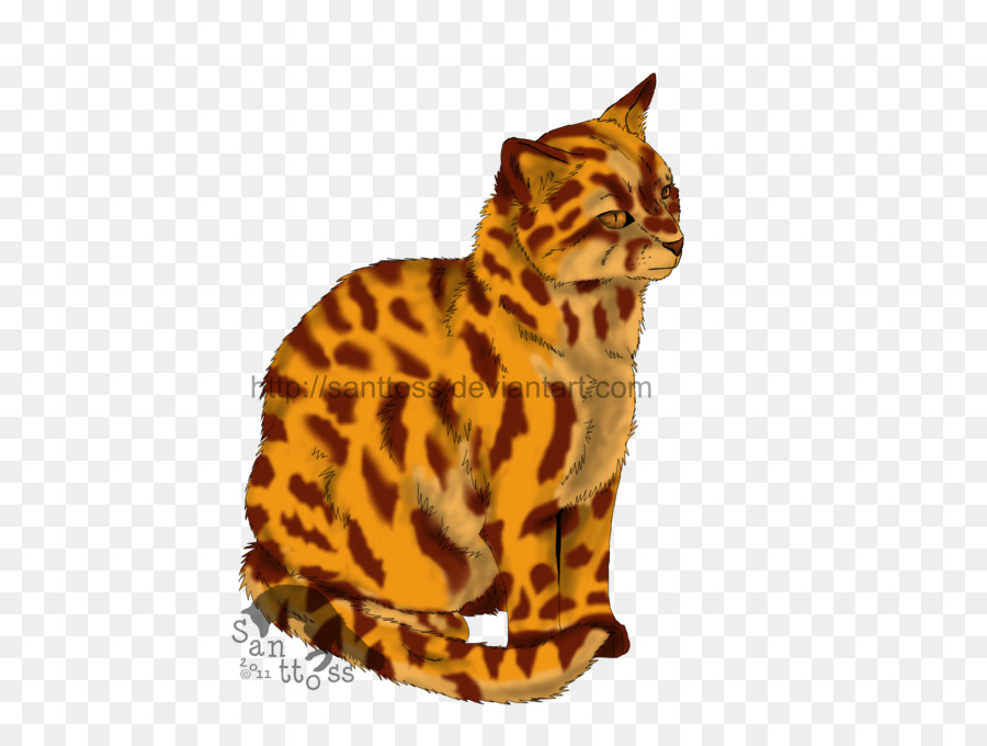 Gato Manchado，Felino PNG