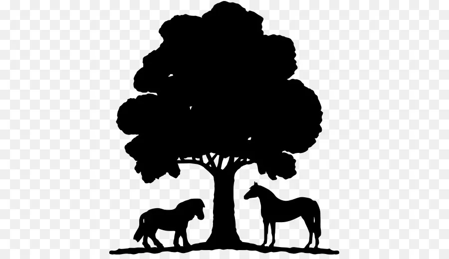 árbol Con Caballos，Silueta PNG