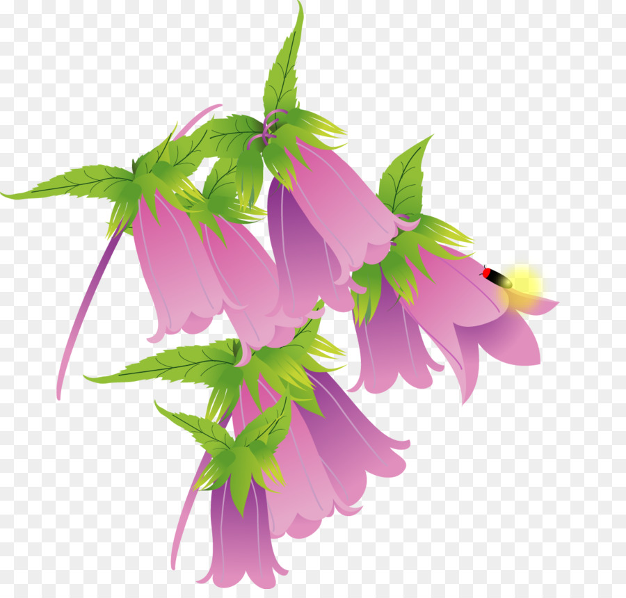 Manchada De Bellflower，Firefly PNG