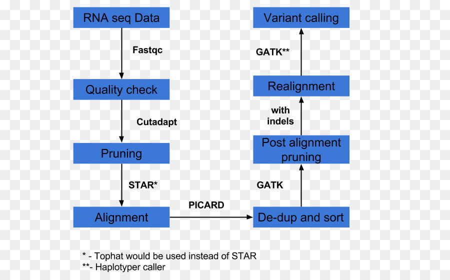 Rnaseq，Transcriptoma PNG