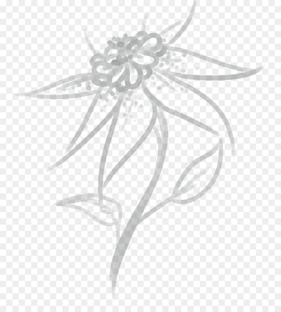 Diseño Floral，Dibujo PNG