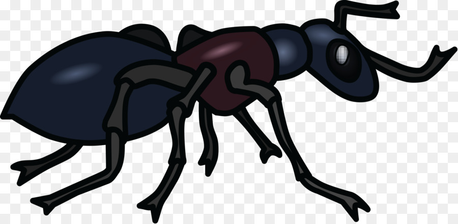 Hormiga，Negro De Jardín Ant PNG