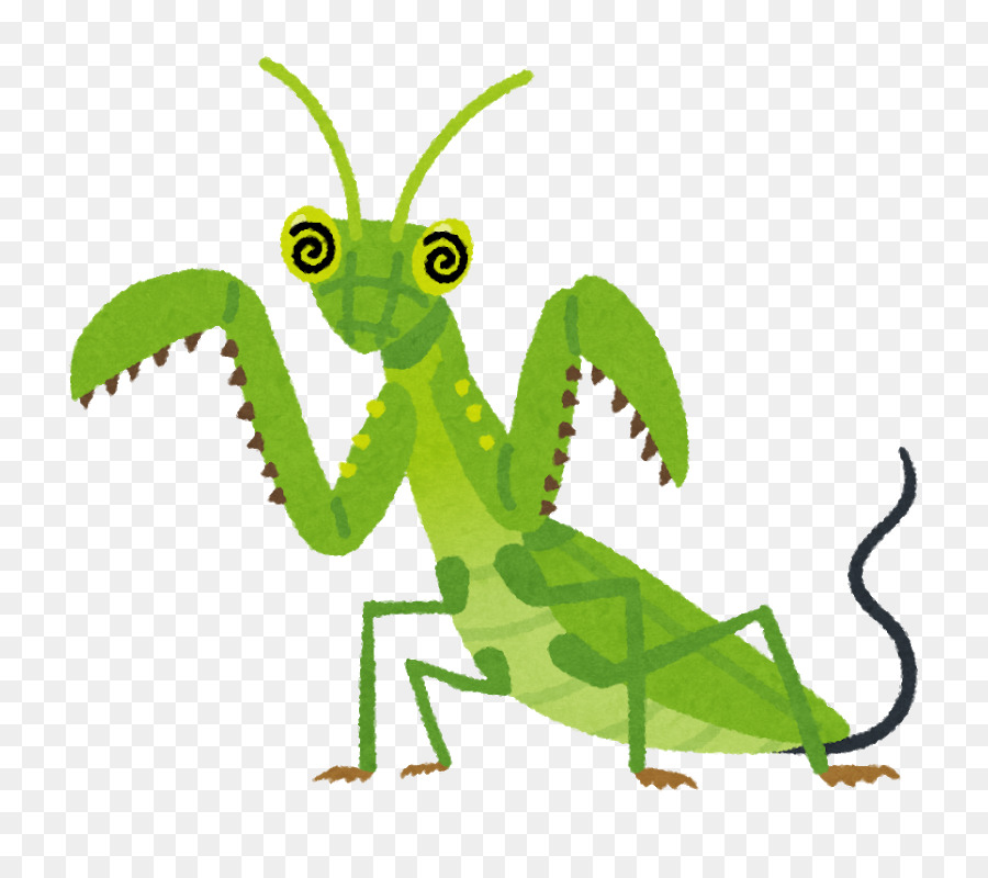 Mantis，Gordioidea PNG