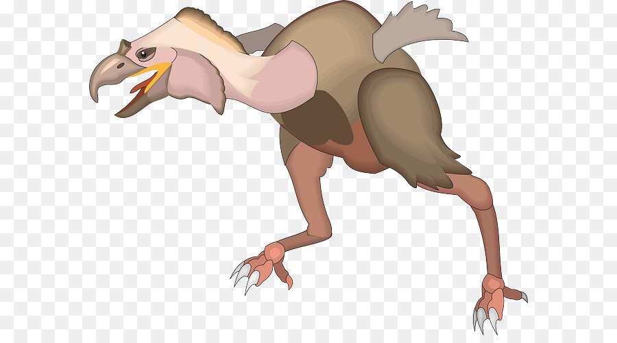 Velociraptor，Pájaro PNG