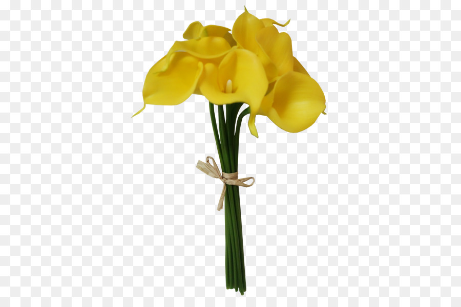 Las Flores Cortadas，La Yema PNG