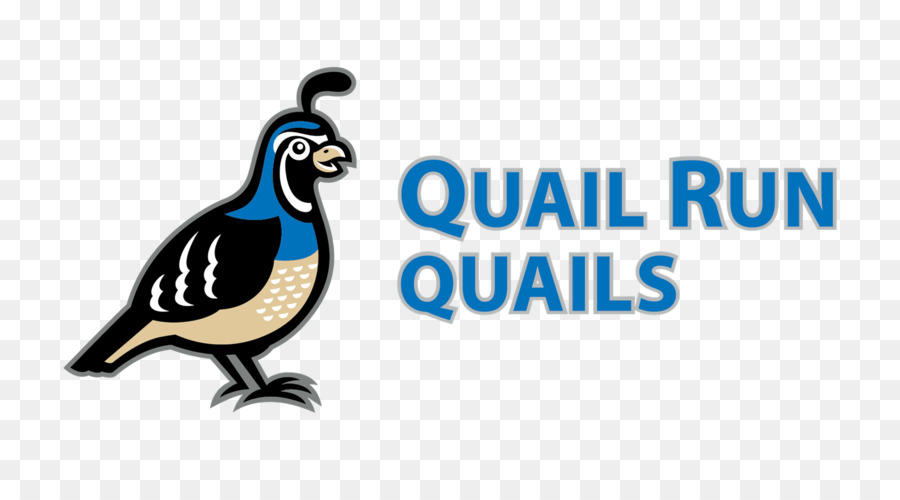 Codorniz，Quail Run De Salud Del Comportamiento PNG