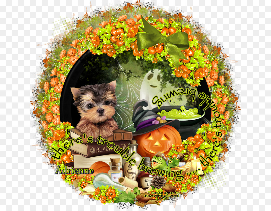Yorkshire Terrier，Cachorro PNG