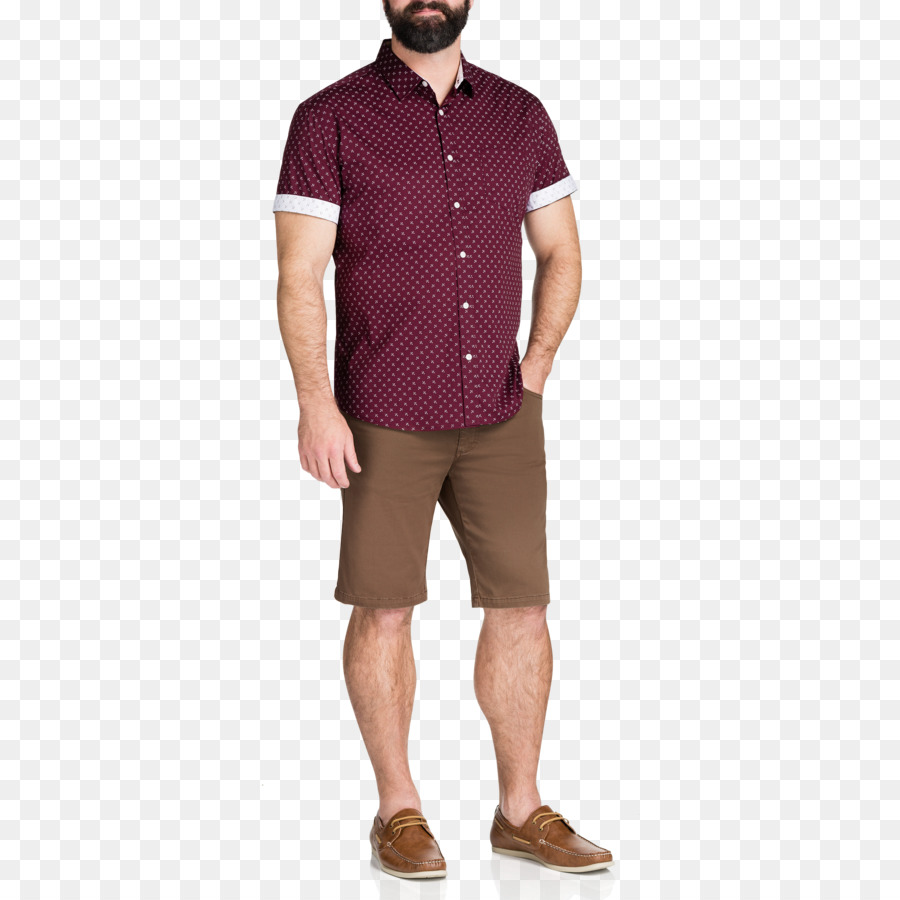 Chino De Tela，Pantalones Cortos PNG