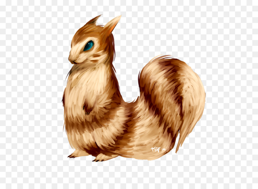 Gallo，Pluma PNG